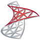 Sql server logo